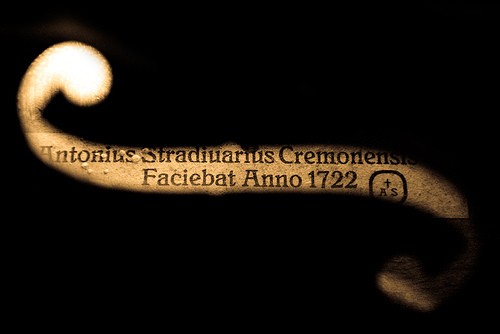 stradivarius_71227.jpeg