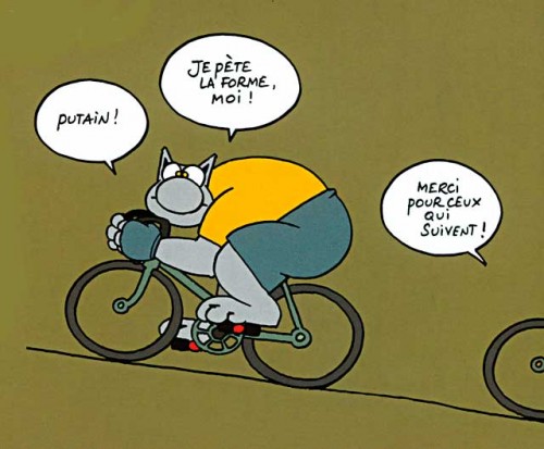 le_chat_velo.jpeg