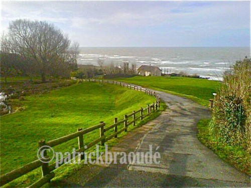 1017264_10151667885984063_1921341636_n (1).jpg