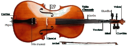 violoncelle.gif